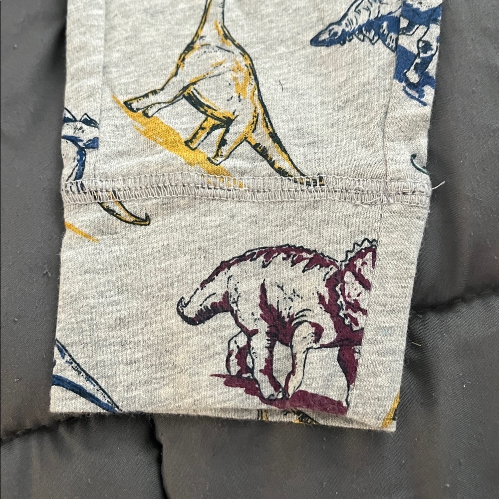 GAP Gray Dinosaur Print Joggers - 3T - Picture 3 of 6